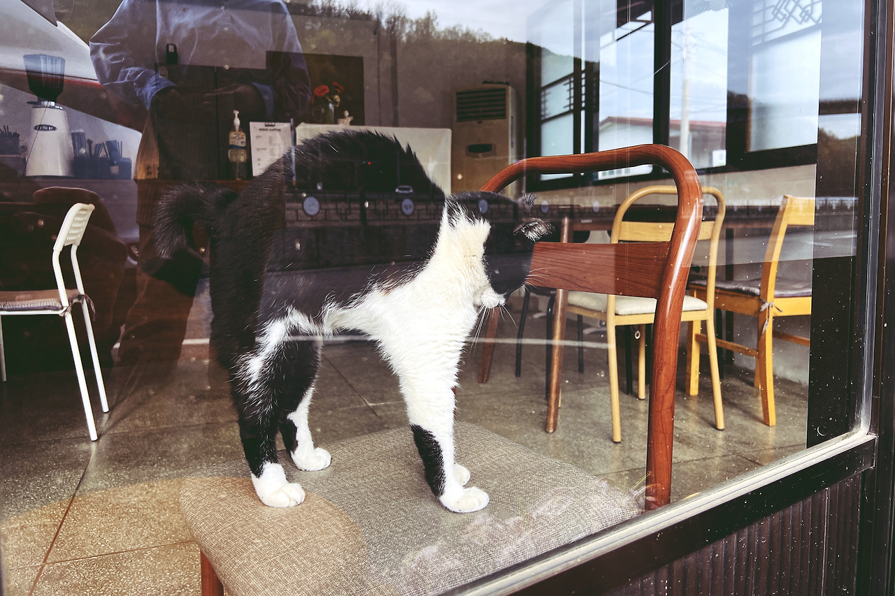 2023-04-14 16.27.46-2.jpg