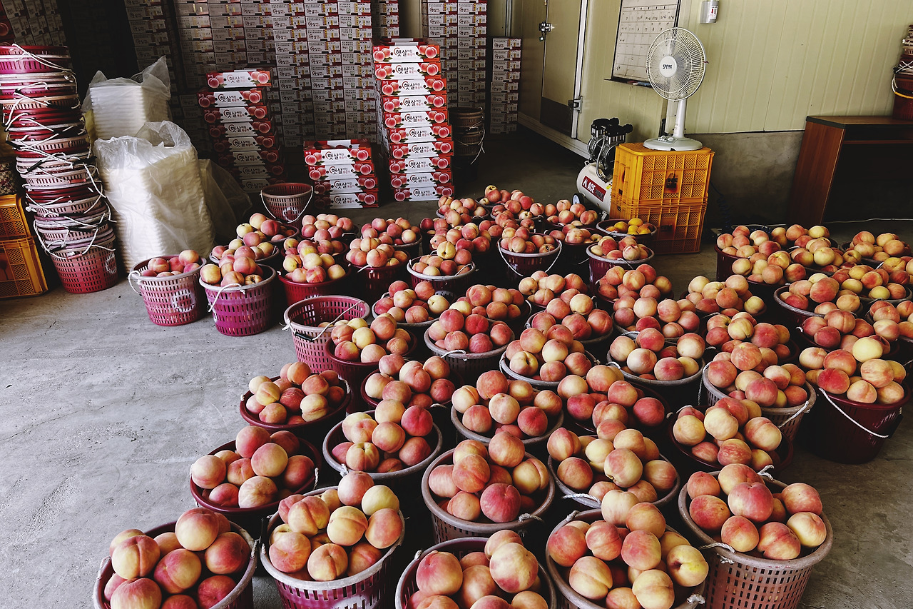 2023-08-23 12.08.57.jpg