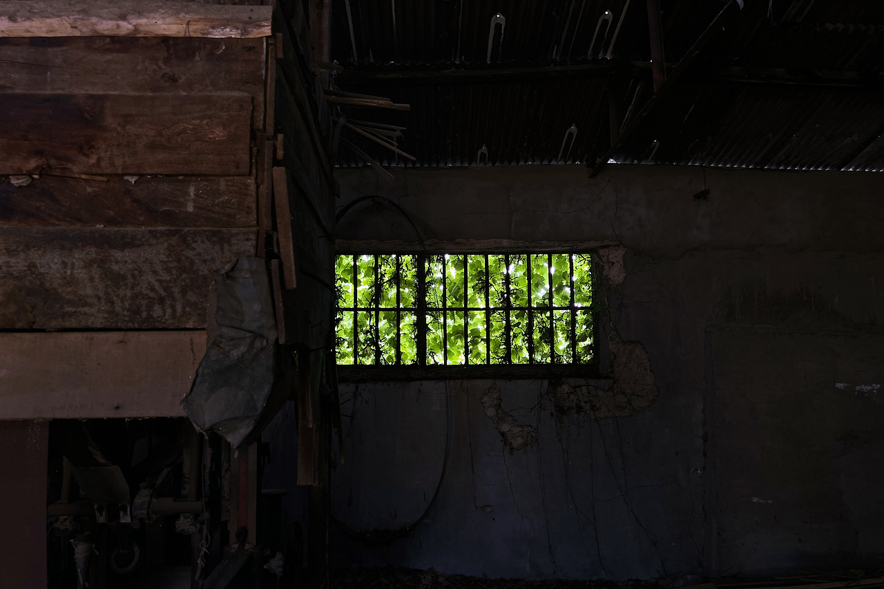 2023-05-16 10.34.00 s.jpg