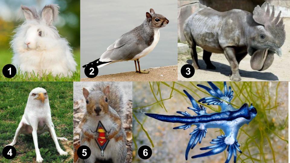 그림퀴즈 (진짜_가짜_) (4).jpg