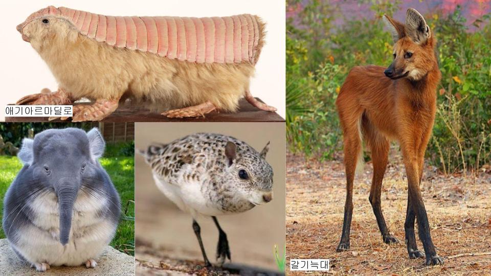 그림퀴즈 (진짜_가짜_) (1).jpg