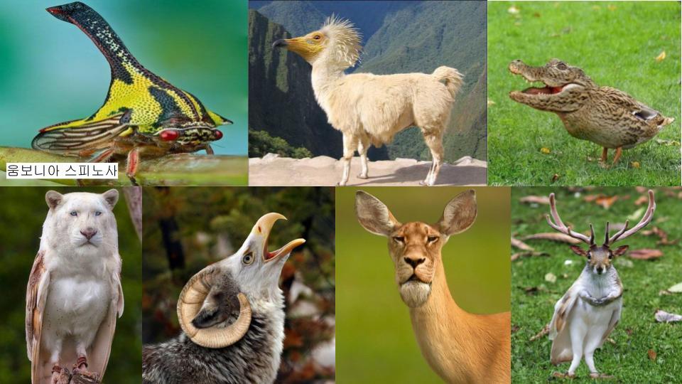 그림퀴즈 (진짜_가짜_) (3).jpg