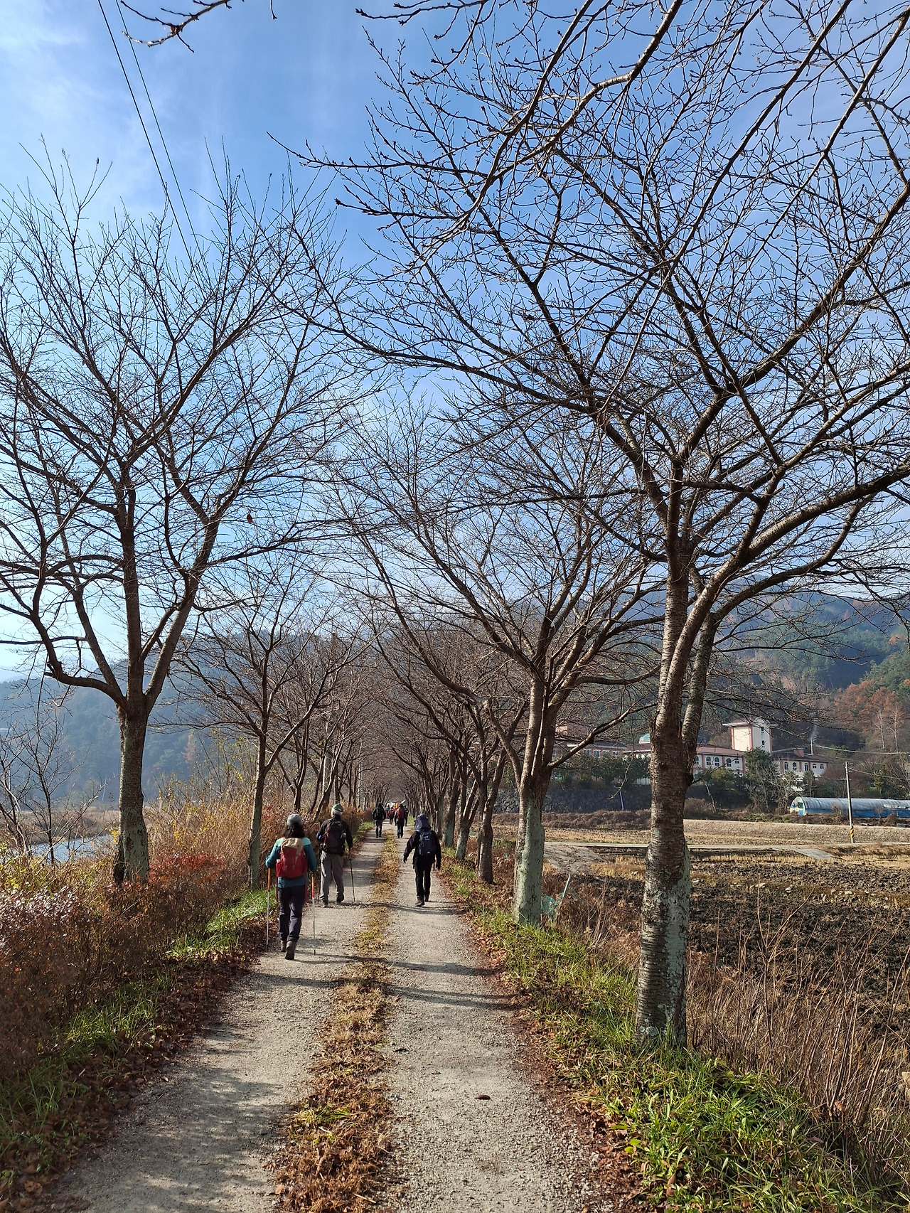 2둑방길.jpg