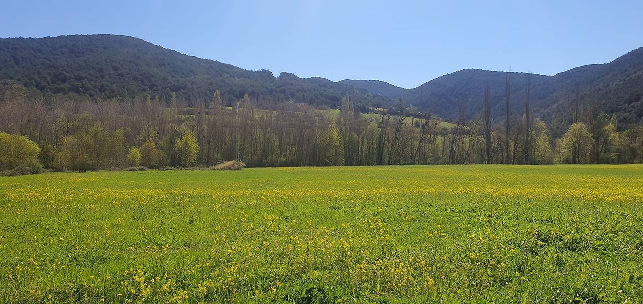 팜플로나 가는 길.jpg