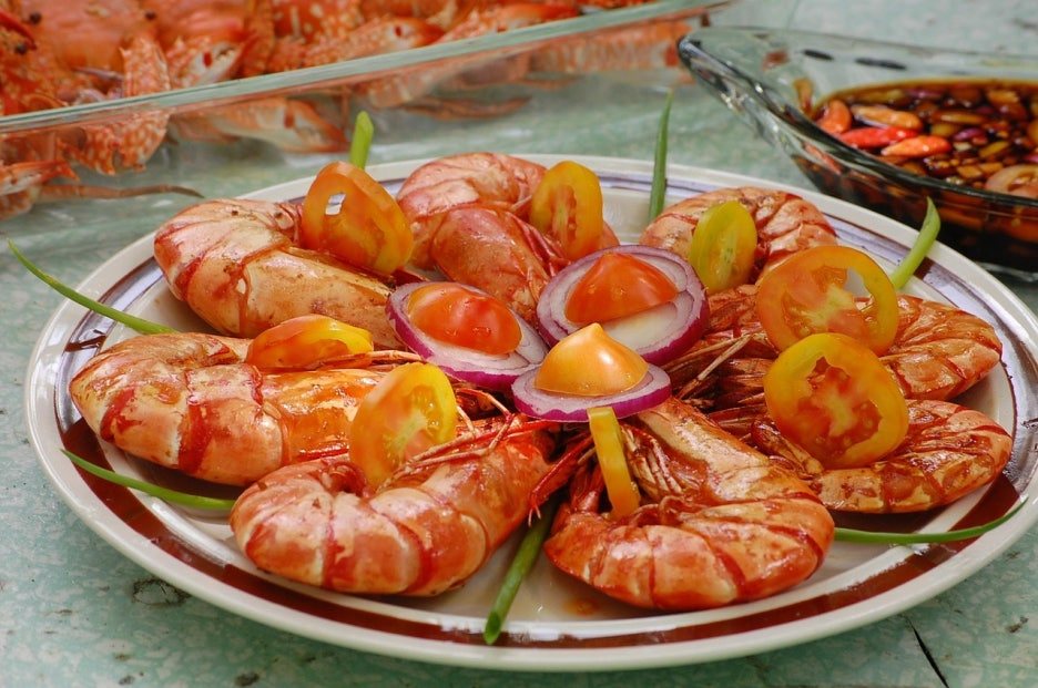 온라인 카지노 게임
