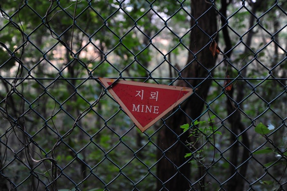 카지노 게임 추천