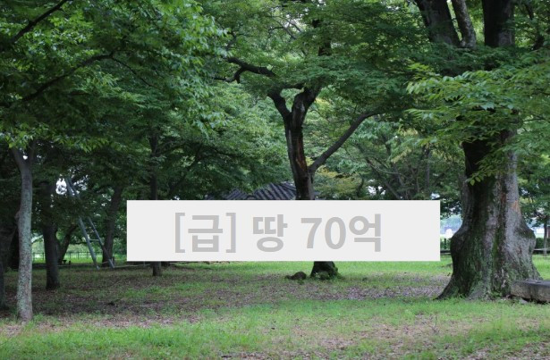 화면 캡처 2023-03-28 114721.jpg