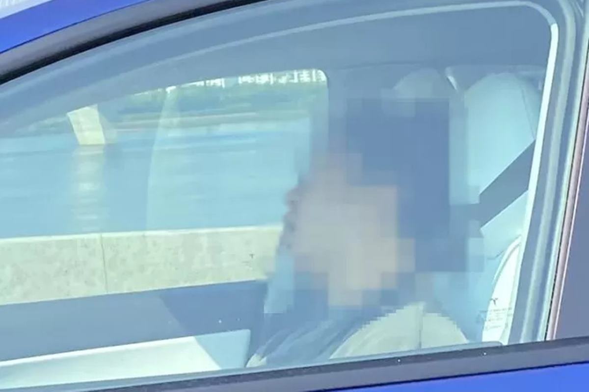 클리앙 자율주행 중 자는 사람 한국.jpg