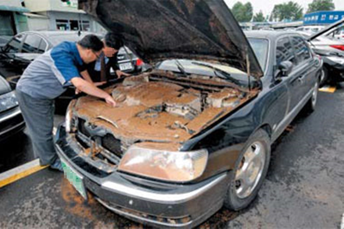 침수차 중고차.jpg