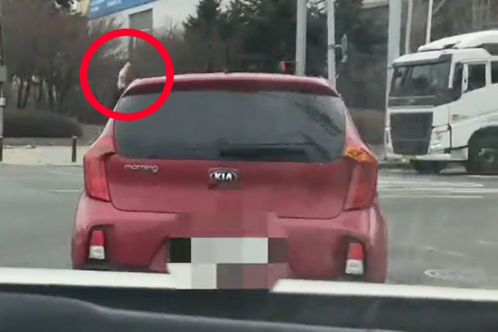 6-1 보배드림.jpg