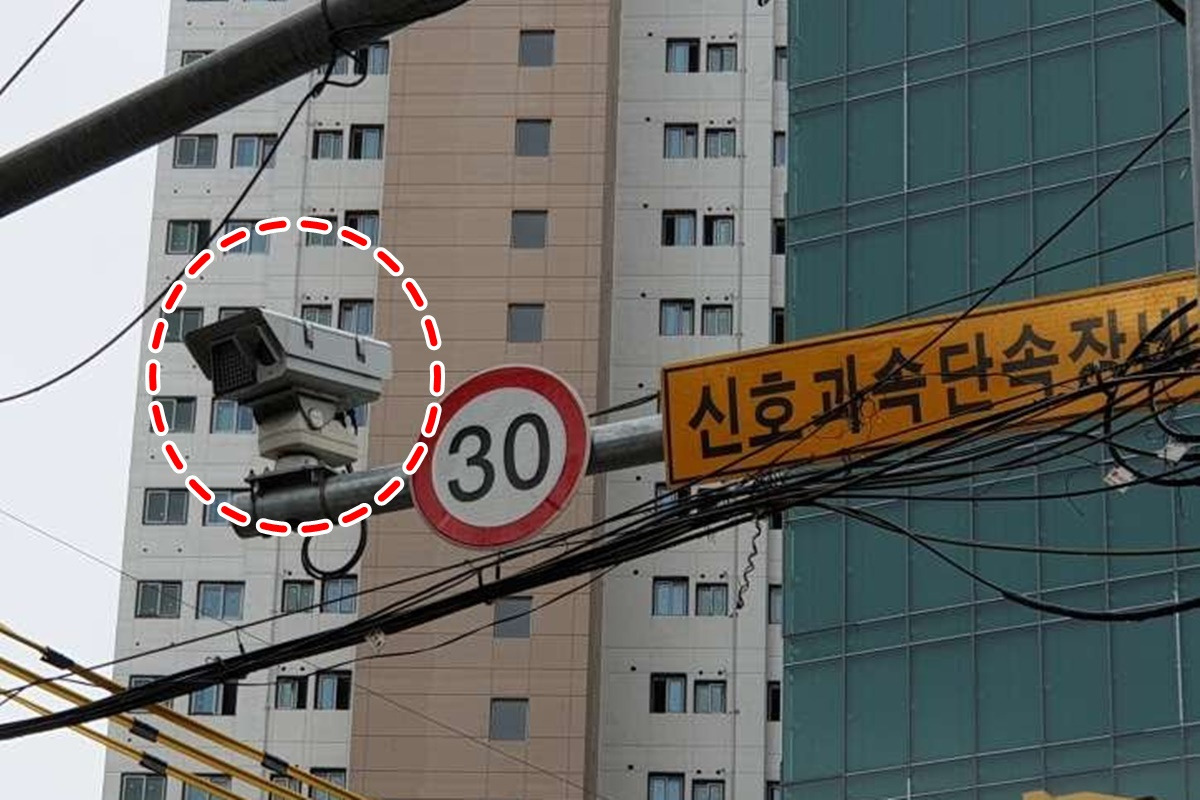단속카메라 - 남차카페2.jpg