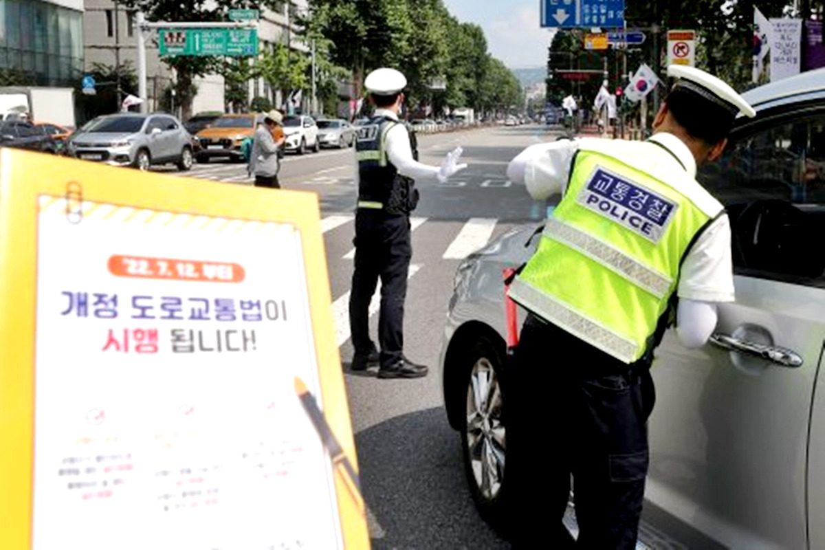 2-2 동아일보.jpg