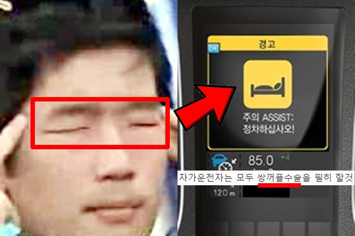 동양인 자는걸로 착각.jpg