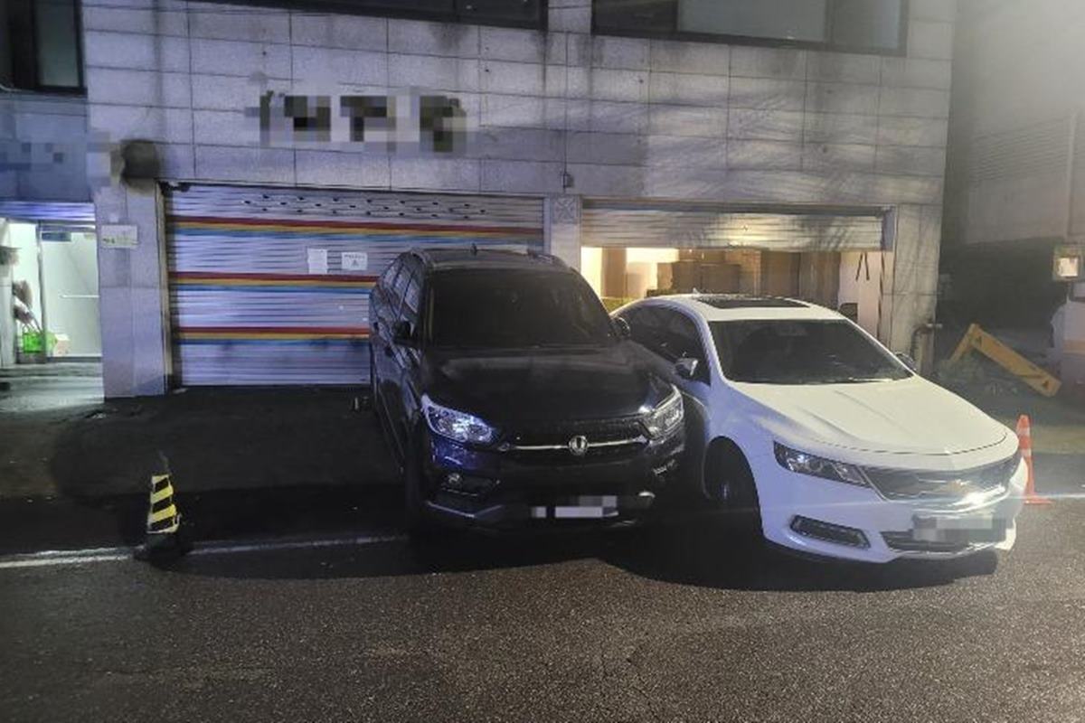 보배드림 xx탐지견 2.jpg