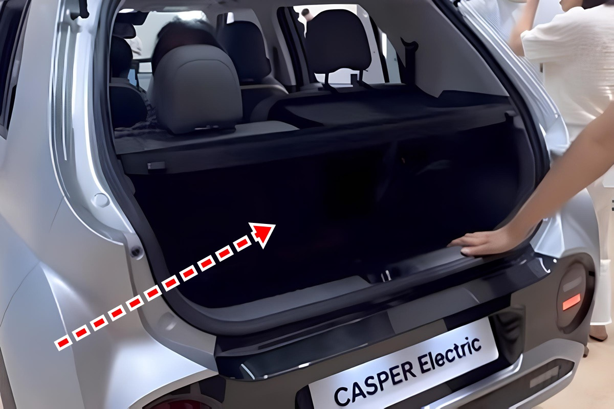 Youtube '댕댕짱'.jpg