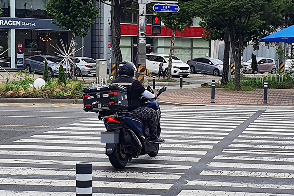 5 경북매일신문.jpg