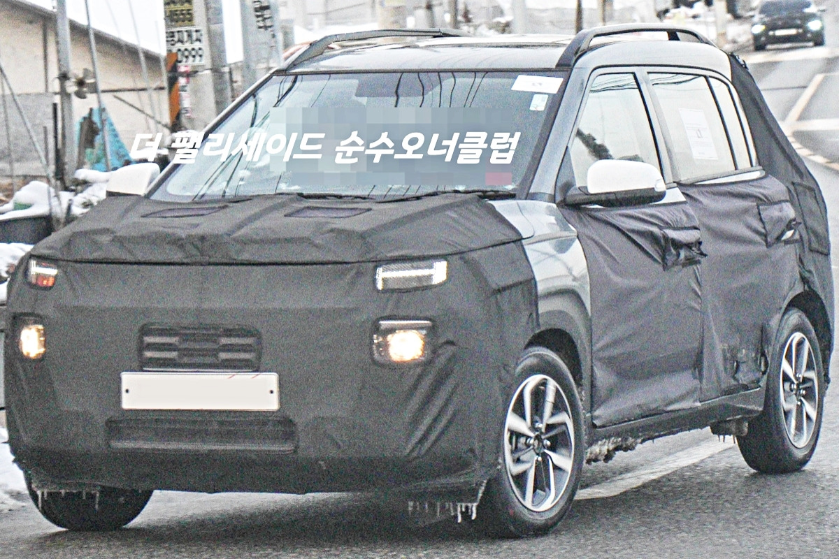 4-2 더 팰리세이드 순수오너클럽.jpg