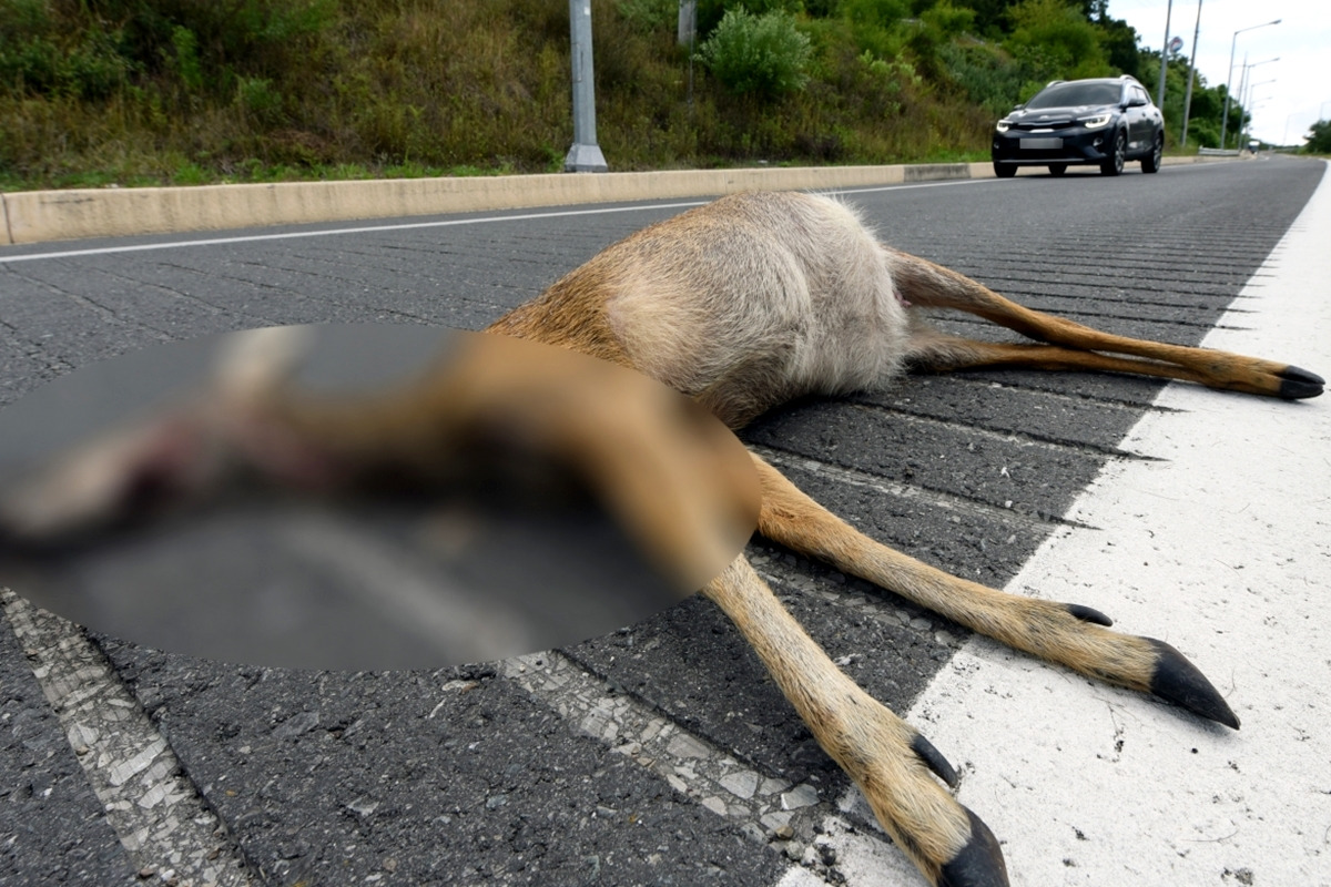 4-2 중부매일.jpg