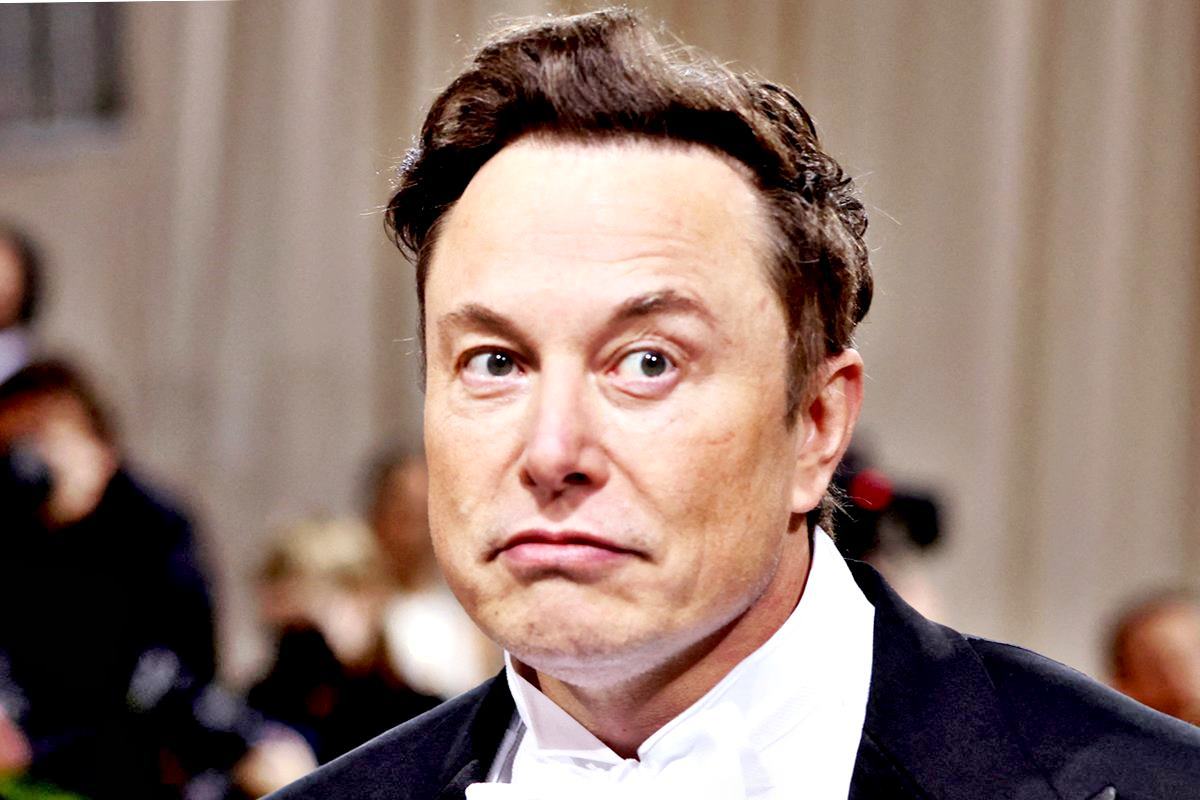 테슬라 CEO 일론 머스크 중앙일보.jpg