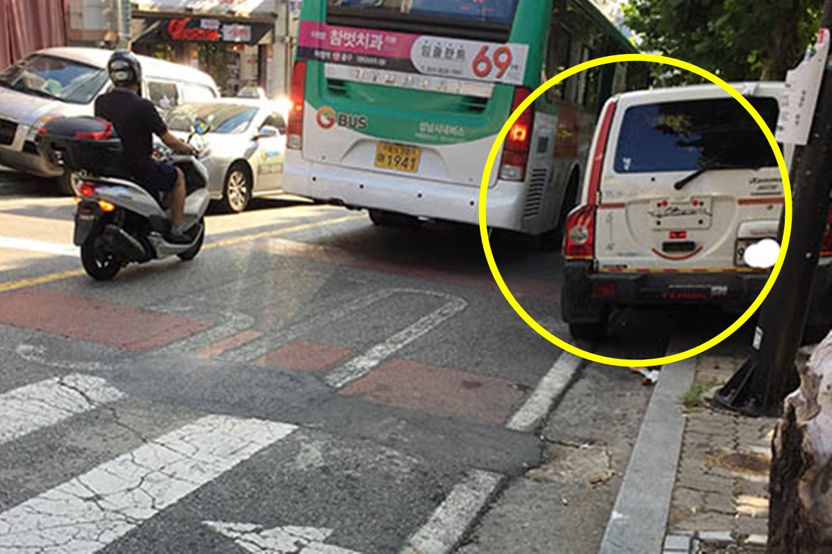 분당신문 길거리에 개구리주차.jpg