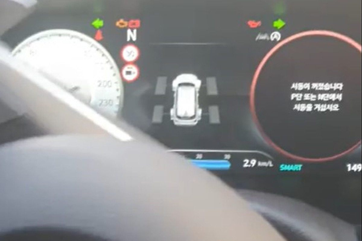 3-1 로하파파.jpg