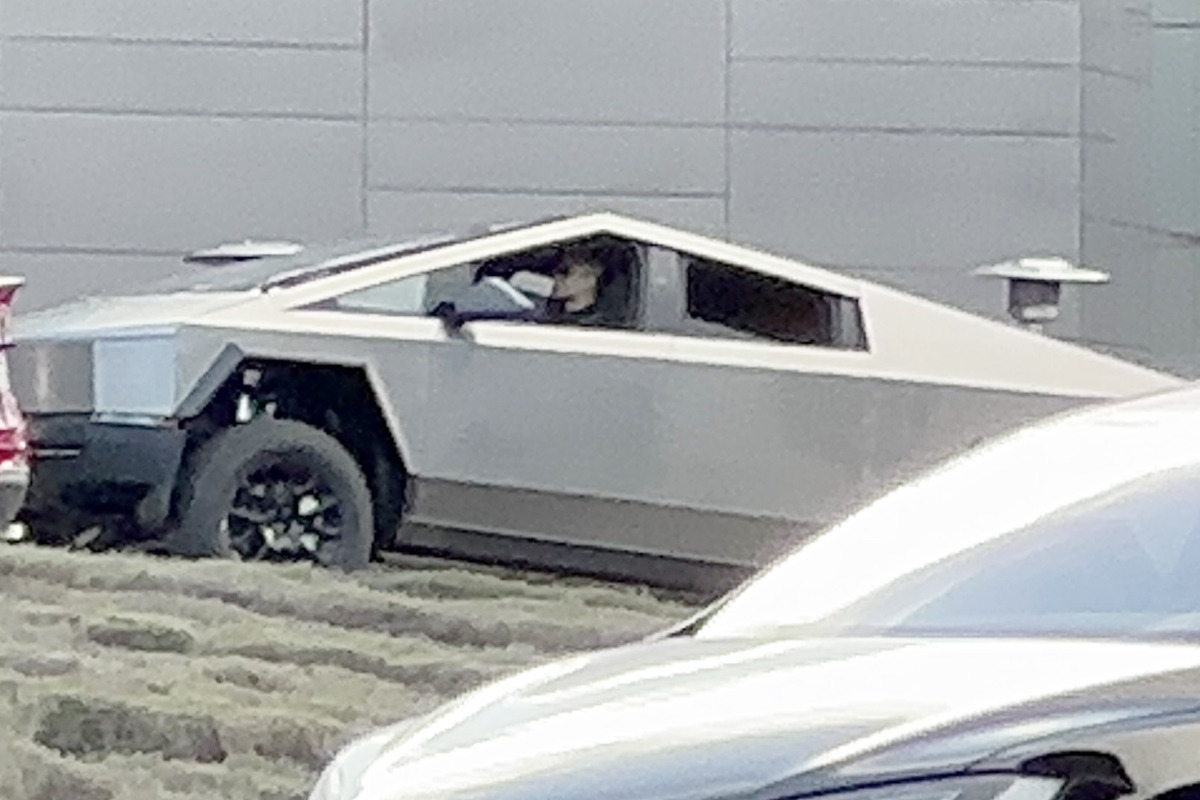 1_잔디밭에 올라선 테슬라 사이버트럭_트위터 'whatsinside'.jpg