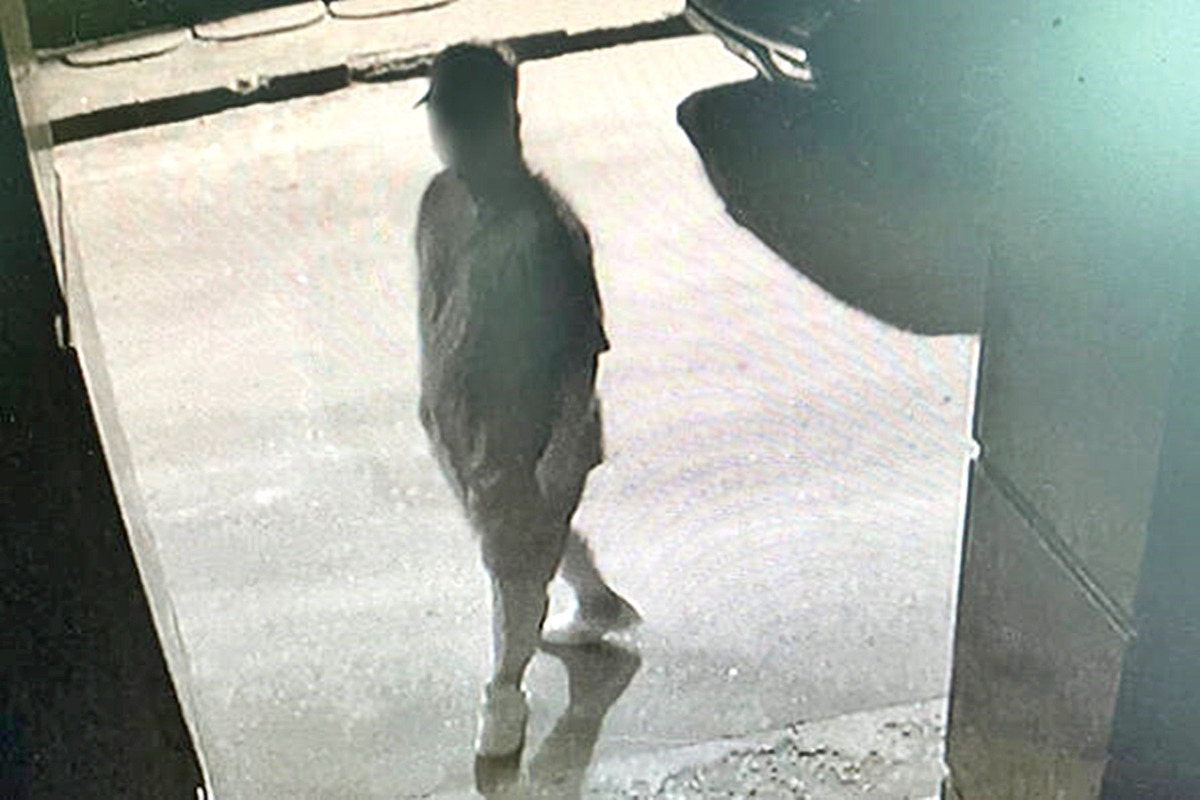 2-1 세계일보.jpg