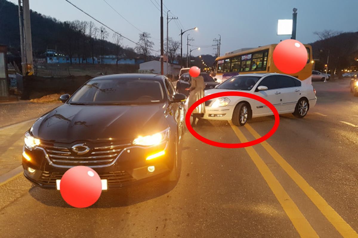 보배드림 '레드버스트'님.jpg