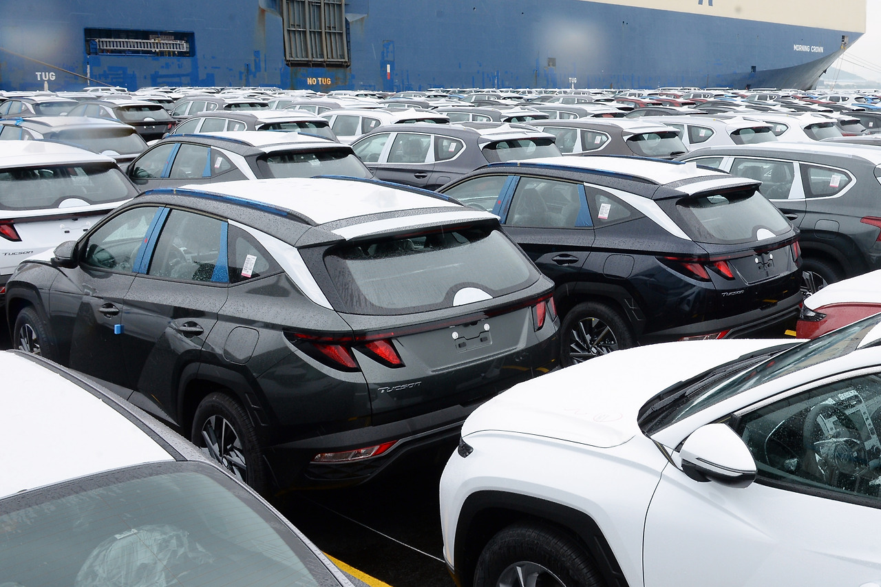 4 뉴스토마토.jpg