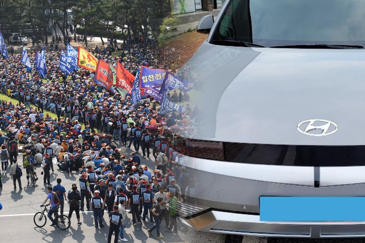 2 뉴스토마토, 보배.jpg