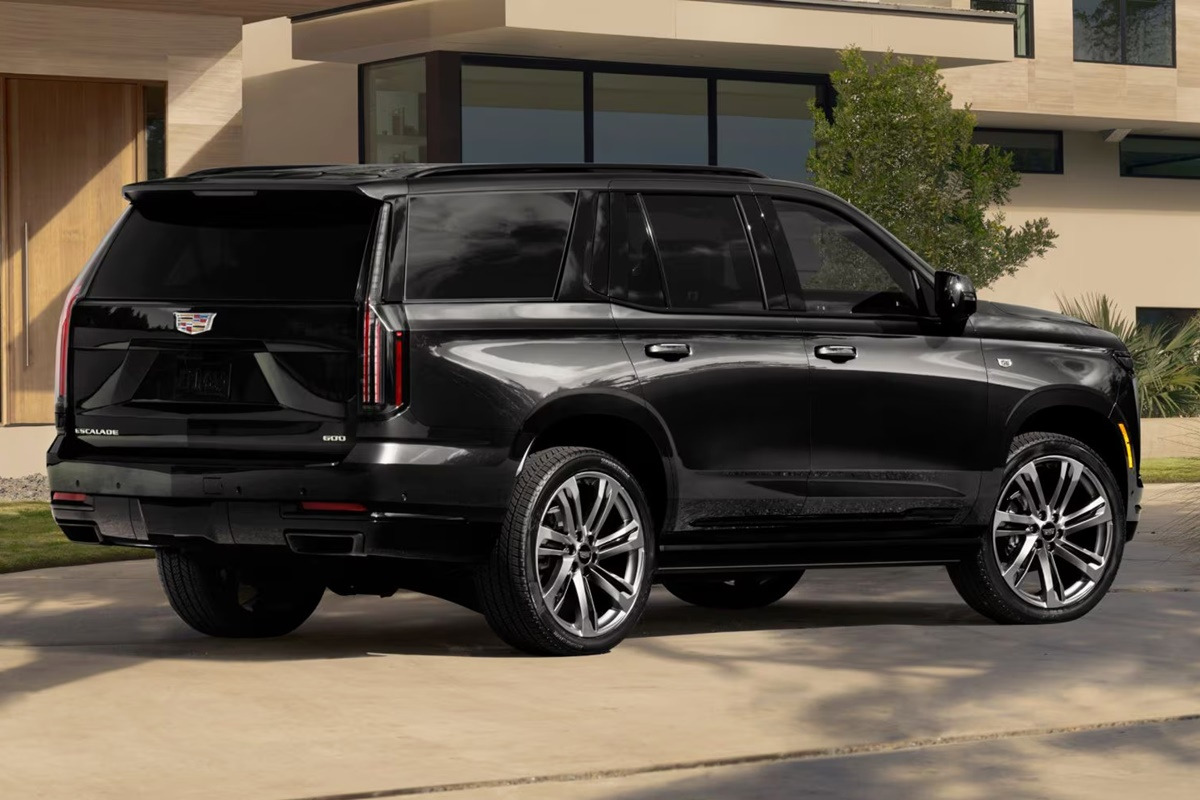 escalade-back.jpg