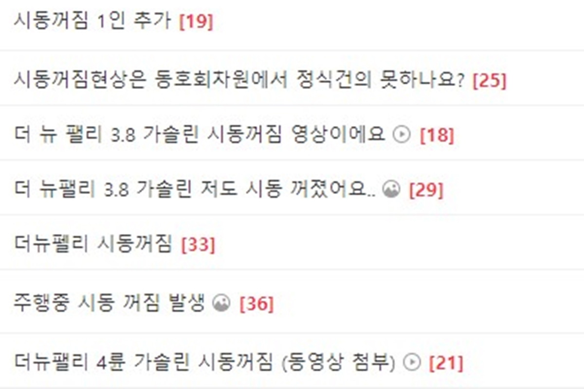 2-1 팰리세이드 동호회.jpg