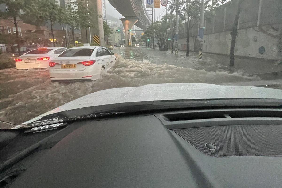 fm코리아 테슬라.jpg