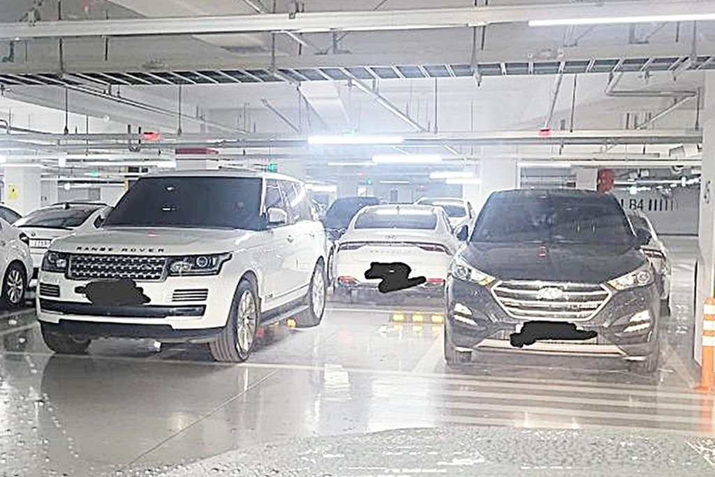 5.보배드림 ' 찹쌀핑벼슬'님.jpg