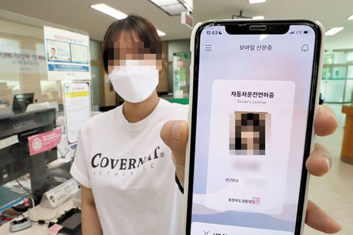 조선일보 모바일 신분증.jpg