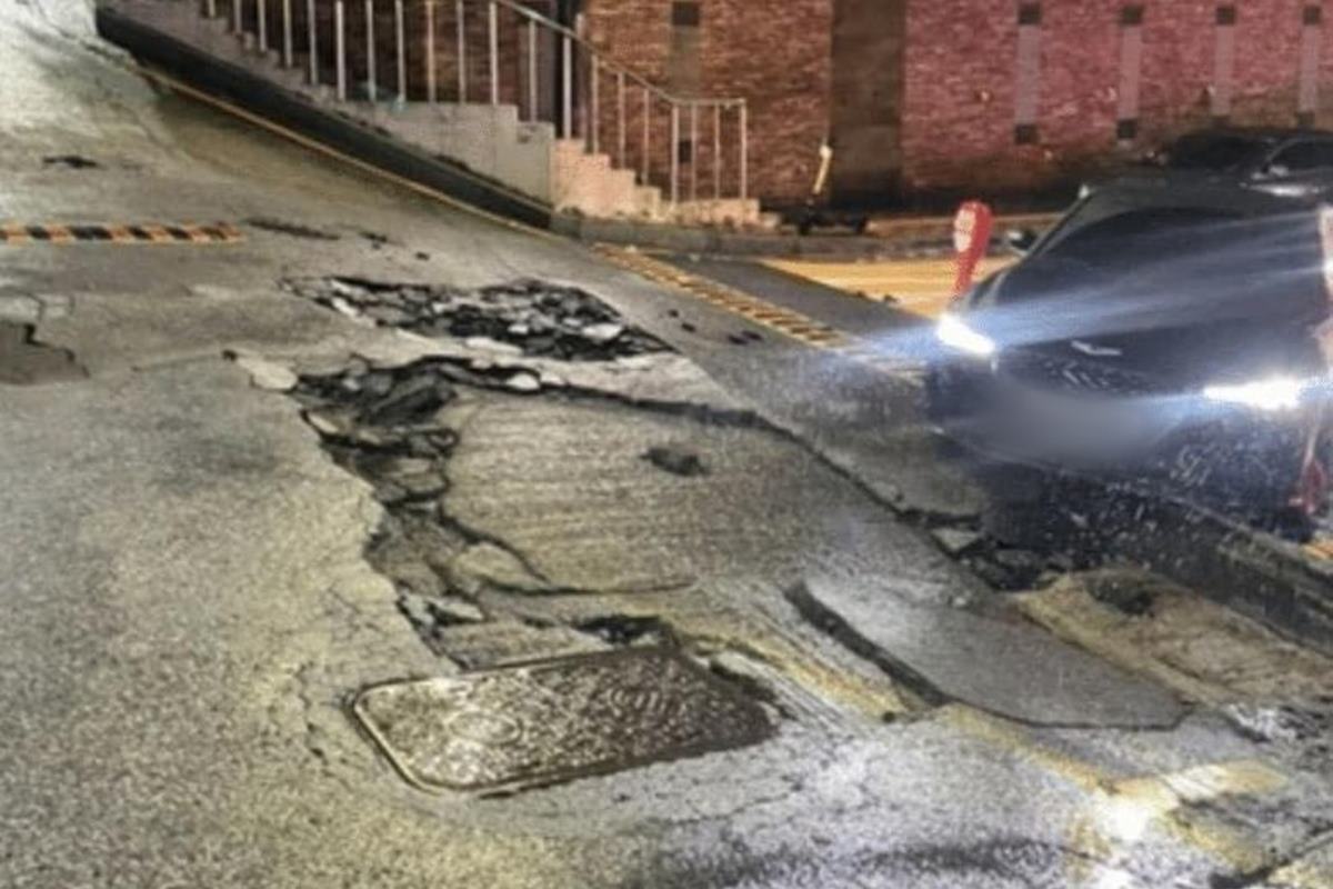 남차카페 서울ll오하나4.jpg