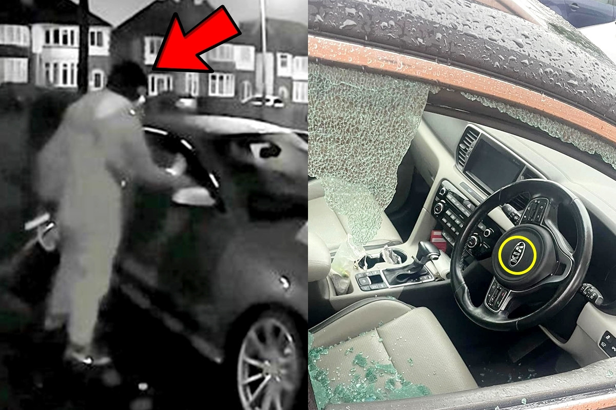 현대기아차 도둑.jpg