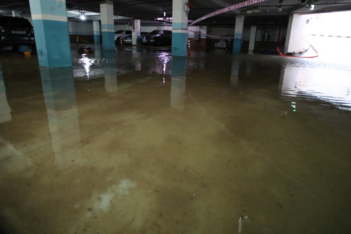 경북일보 포항 오천읍 아파트 주차장.jpg