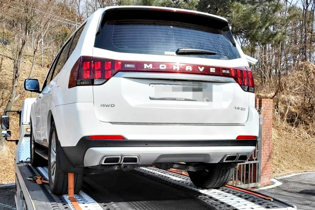 모하비 사랑.jpg