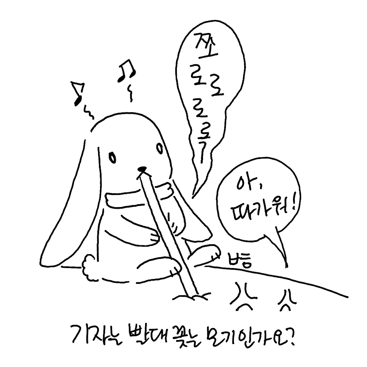 카지노 게임