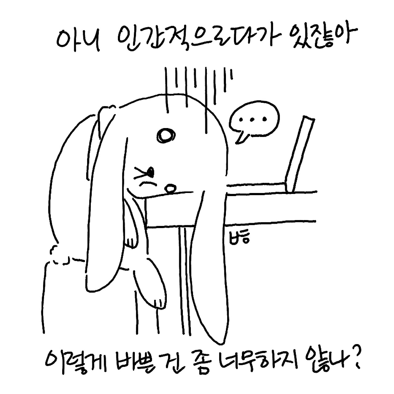 카지노 쿠폰