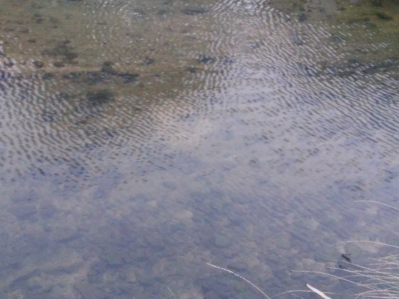 15회 3 발아래 물살.jpg