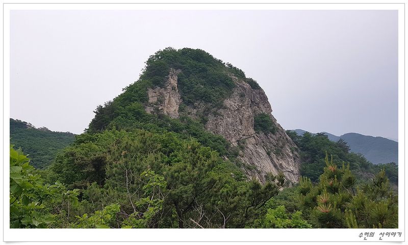 궁예봉-1641966576201.jpg