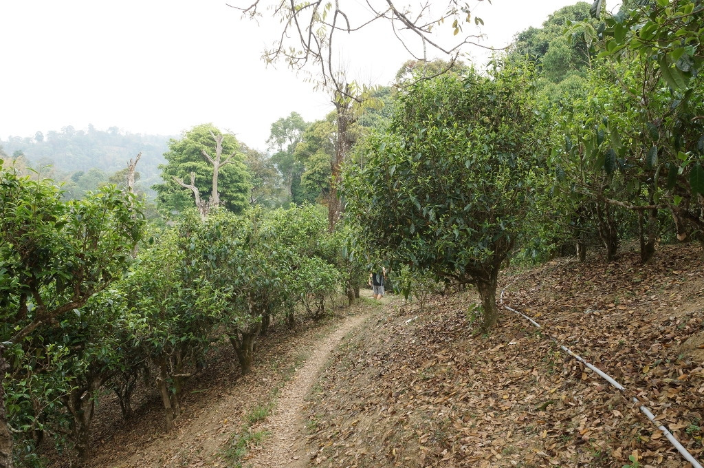노반장 차산.jpg