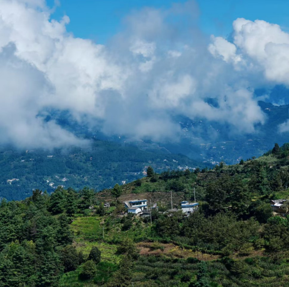 향죽림촌 전경.jpg