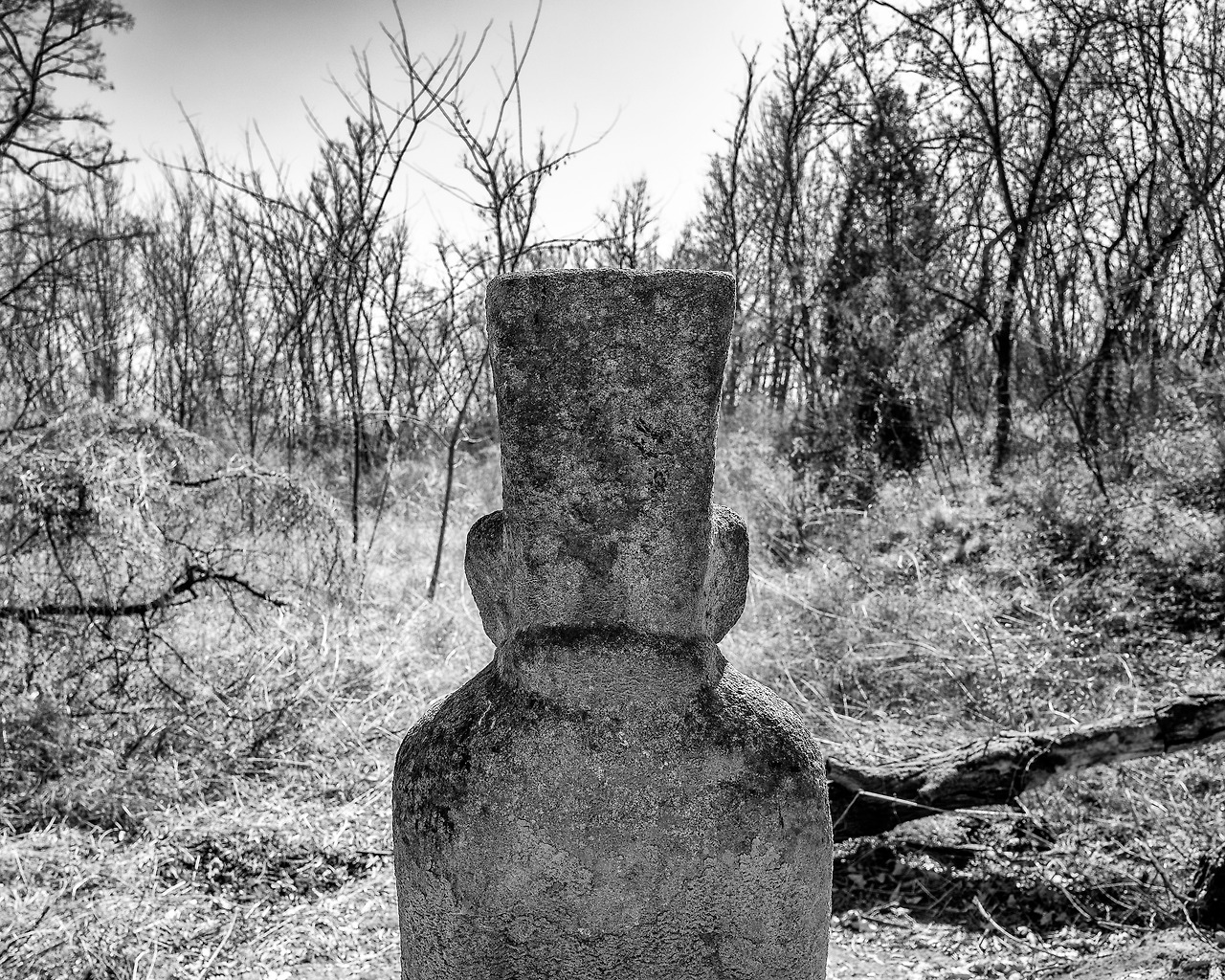 초안산 조선시대분묘군.jpg