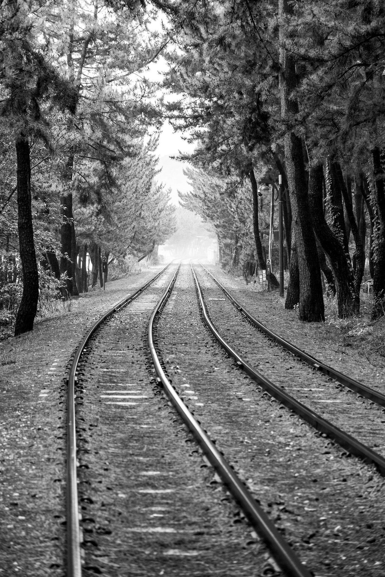 강원도 삼척.jpg