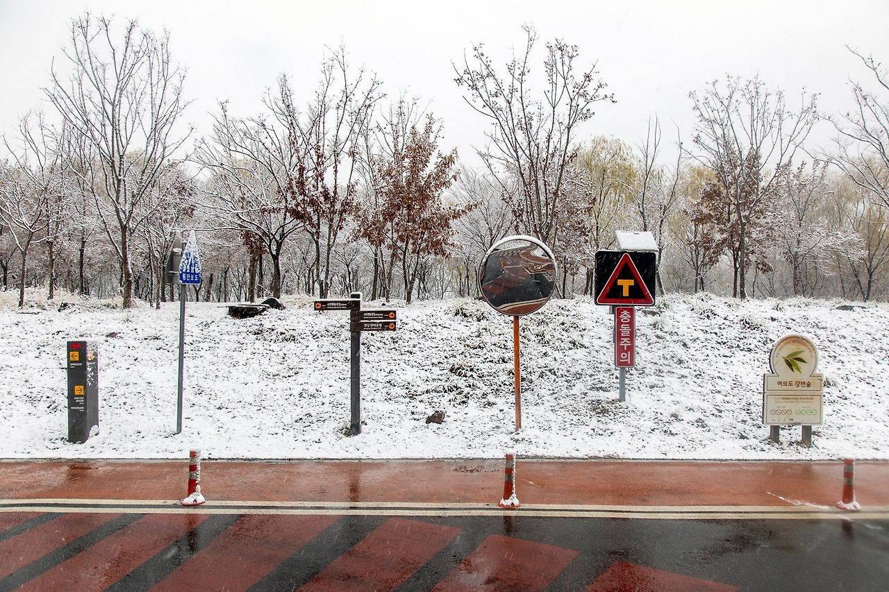 서울 당산동 한강변.jpg