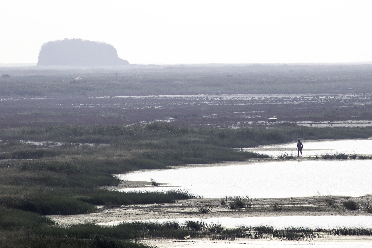 새만금 간척지.jpg