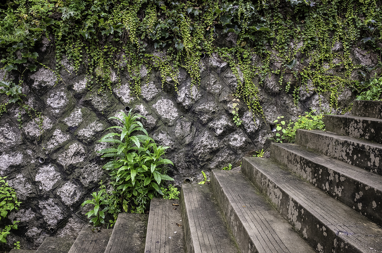 종로구 옥인동.jpg